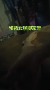 抱起操熟女人妻合集